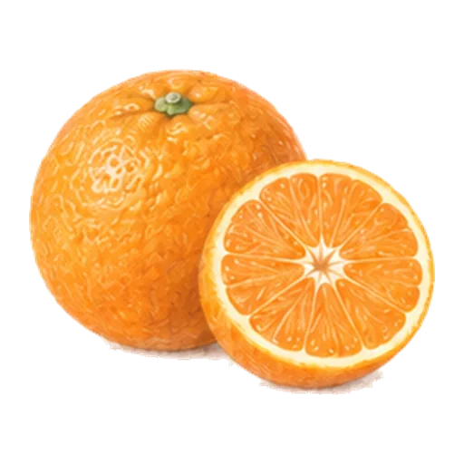 いよかん・柑橘(みかん以外)